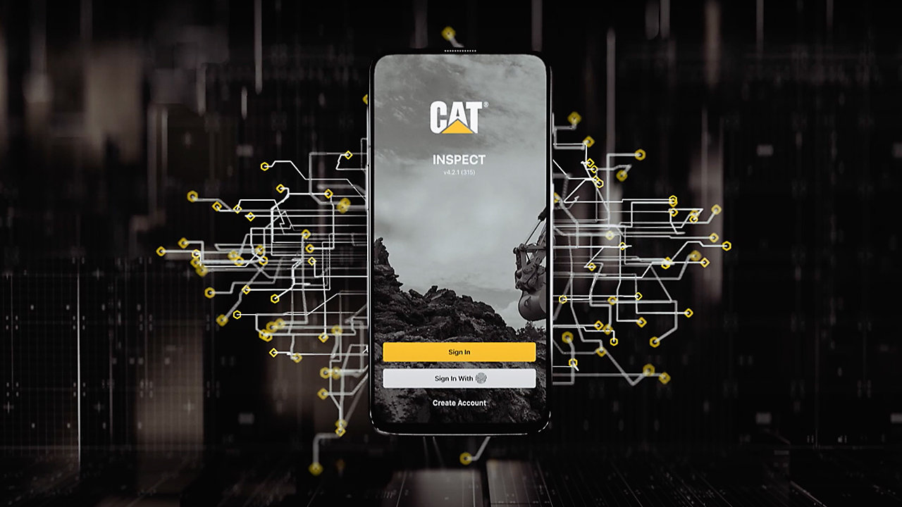 cat inspect app